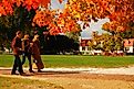 Three people take a leisurely walk on a crisp autumn day in Williamsburg, Virginia. Editorial credit: James Kirkikis / Shutterstock.com