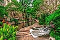 Quiet early morning on the San Antonio Riverwalk. Image credit jbtphotos via Shutterstock.