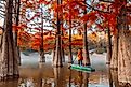 Woman paddleboarding on a stand-up paddleboard at a lake in Louisiana during the morning.