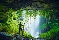 Crystal Falls along the Wonga Walk in the Rainforest of Dorrigo National Park, New South Wales, Australia.