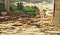 Closeup landscape photo of dry river bed of Yellow River in China, the second longest river in China. Source: Shutterstock/Xiaojiao Wang