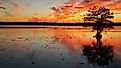 Sunset on Lake Seminole, Georgia.