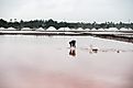 Salt production in Tanzania. 