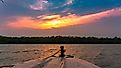 Mangroves along the Bay of Bengal coastline in India.