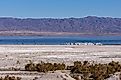 Salton Sea beach in California. Editorial credit: Claudine Van Massenhove / Shutterstock.com