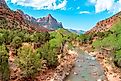 Virgin River in Zion Canyon.