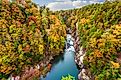 Gorgeous fall colors at the Tallulah Gorge State Park.