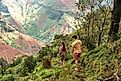 Waimea canyon in Kauai, Hawaii