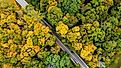 An aerial view of a road winding through dense woods near Indiana University in Bloomington, Indiana.