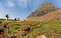 Overview of Logan Pass with tourist walking in Glacier National Park, Montana. Editorial credit: Jay Yuan / Shutterstock.com