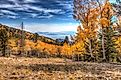 Wheeler Peak Trail in Great Basin National Park. 