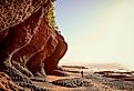 Tourist walking on the beach under a beautiful cliff on the coast of New Brunswick, Canada at the Bay of Fundy at low tide. Image credit  Julien Faugere via Shutterstock.