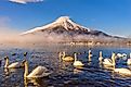 Mount Fuji reflected in Lake Yamanaka at dawn, Japan.