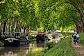 Cyclists and pedestrians line the Canal du Midi. Image credit thieury via Shutterstock.