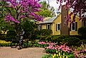 Tulip Time Festival Parade of Pella's dutch community, Iowa. Image credit yosmoes815 via Shutterstock