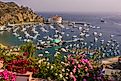 Aerial view of Avalon, Santa Catalina Island, California. Editorial credit: Rob Crandall / Shutterstock.com.