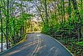 Road on the edge of Radnor Lake near Nashville, Tennessee. Image credit John via AdobeStock.