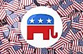 The elephant is a symbol used to represent the Republican party. 