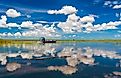 Blue skies are reflected in the still waters of the everglades while tourists take airboat rides to visit alligators in the wild