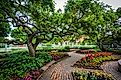 Gardens at Prescott Park, in Portsmouth, New Hampshire.