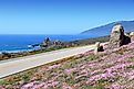 California, United States - Pacific Coast Highway scenic drive. Image credit Tupungato via shutterstock