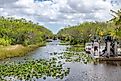 The Florida Everglades