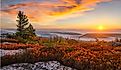 Sunrise over the Allegheny Front from atop Bear Rocks in West Virginia's Dolly Sods Wilderness