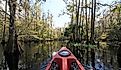 A red kayak in Fisheating Creek, the only remaining free-flowing creek feeding Lake Okeechobee, Florida, in October. Editorial credit: Francisco Blanco / Shutterstock.com