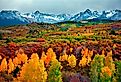 Autumn colors in the Rocky Mountains, Colorado.