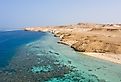 Aerial view Red Sea corals and sandy island, Egypt. Image credit Lostsurf via Shutterstock. 