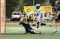 University of Michigan's goalie Tommy Heidt at the Moe's Lacrosse Classic. Marcelo Murillo / Shutterstock.com