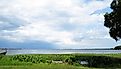 Lake Harris, Florida