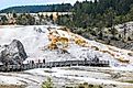 Mammoth Hot Springs