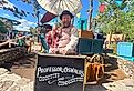 Professor Oswalds Oddities and Commodities at Silver Dollar City amusement park in Branson, Missouri. Image credit Ritu Manoj Jethani via Shutterstock