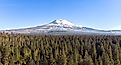 Amazing aerial panoramic view of Mount Eddy in California, over the green forest. 