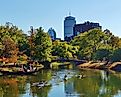 Kayaks on the Charles River Esplanade in Boston Massachusetts