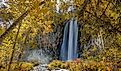 A picturesque waterfall flows through the heart of an autumn forest in Spearfish Canyon, South Dakota.