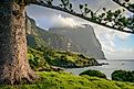 Mt Gower, Lord Howe Island.