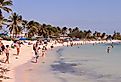 Sombrero Beach, Marathon, Florida Keys. Image credit Erika Cristina Manno via Shutterstock