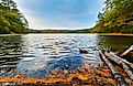 Walden Pond