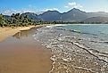 Scenic view of Hanalei Beach in Kauai, Hawaii. Image credit jerzy via AdobeStock.