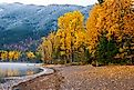 Fall foliage along the shore of Lake McDonald in Glacier National Park in Montana.