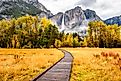 Fall colors in Yosemite National Park.