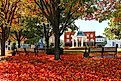 Beautiful Autumn leaves gather around the gazebo on Main Street in Front Royal, Virginia.