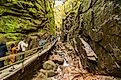 Tourists visiting the Flume Gorge during fall in Franconia Notch State Park, New Hampshire. Editorial credit: Enrico Della Pietra / Shutterstock.com