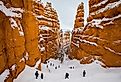 Winter landscape in Bryce Canyon National Park, Utah.