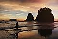 La Push Beach, Washington at sunset. 