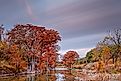 A vibrant explosion of fall foliage lines the Guadalupe River in Spring Branch, near Canyon Lake in Texas Hill Country.