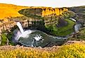 Palouse Fall State Park at sunset with yellow flowers blooming in the fields, Washington.