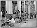 Antique black and white photo: Havana Milkman